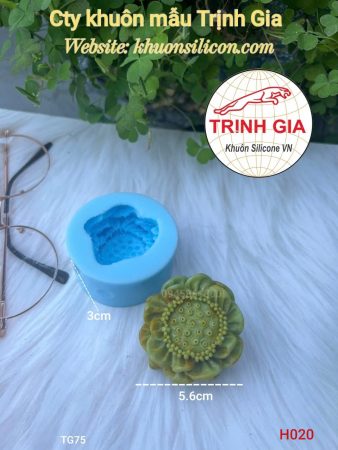 khuôn silicone thực phẩm