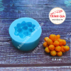 khuôn silicone xương rồng m2